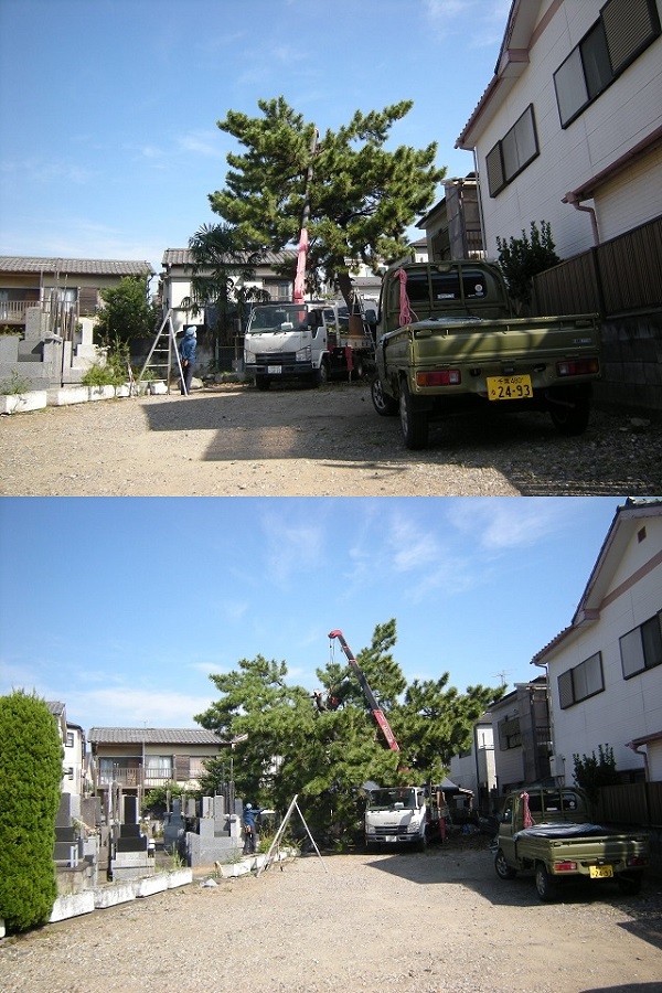 jbNŔ